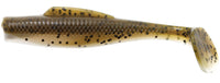 Mud Minnow