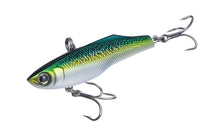 Mackerel