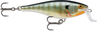 Blue Gill