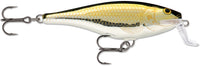 Gold Shiner