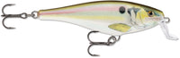 Live River Shad