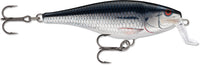 Silver Shiner