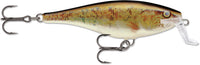 Walleye