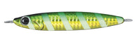 Zebra Glow Green Gold