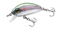 Rainbow Trout
