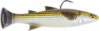 Mossback