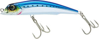 Sardine