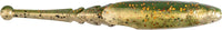Redfish Toad