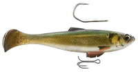 Golden Shiner