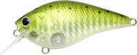 CF Zebra Ghost Green Sea Trout