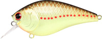 Copper Perch