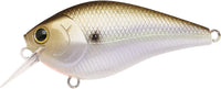 Gizzard Shad