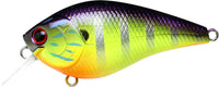 Gorgeous Purple Chartreuse Gill