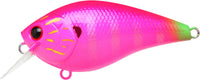 Pink Dragon Gill