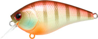 Shin Tone Gill