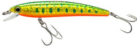 Brook Trout