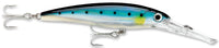 Blue Sardine