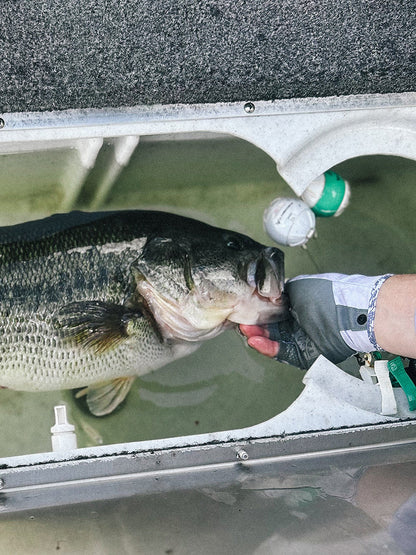 Discount Tackle Standard Fishing Gloves