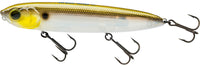 Gizzard Shad