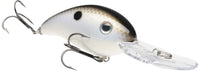 Gizzard Shad