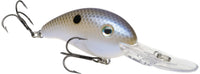 Blue Gizzard Shad