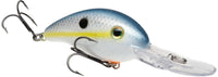 Sexy Shad