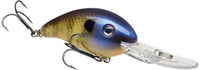 IS Bluegill