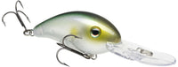 Yellow Perch