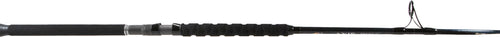 Phenix AXIS Spinning Rods