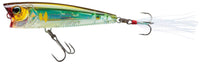 Prism Ayu