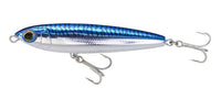 Blue Mackerel