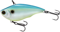 Citrus Shad