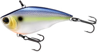 Sexy Shad