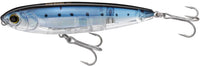 Sardine