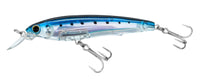 Sardine