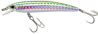 Rainbow Trout