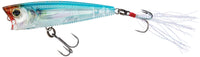 Real Blueback Herring