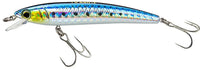 Sardine