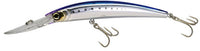 Sardine