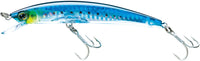 Sardine