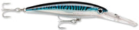 Silver Blue Mackerel