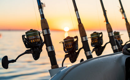 Daiwa BG Spinning Reels