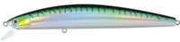 Green Mackerel