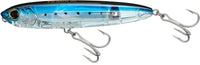 Sardine