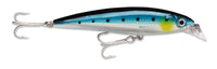 Blue Sardine