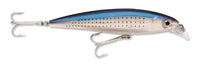 Spotted Minnow