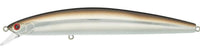 Sand eel