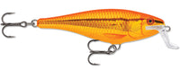 Goldfish